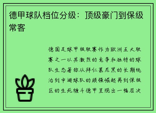 德甲球队档位分级：顶级豪门到保级常客